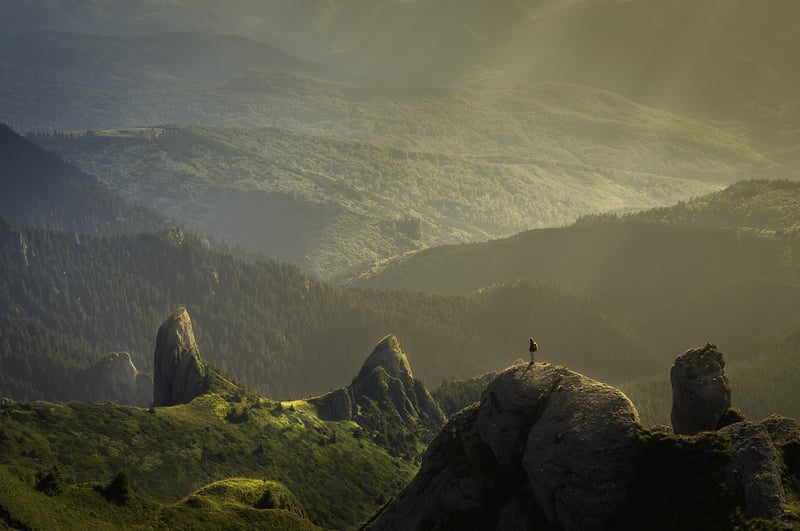 Explore the world